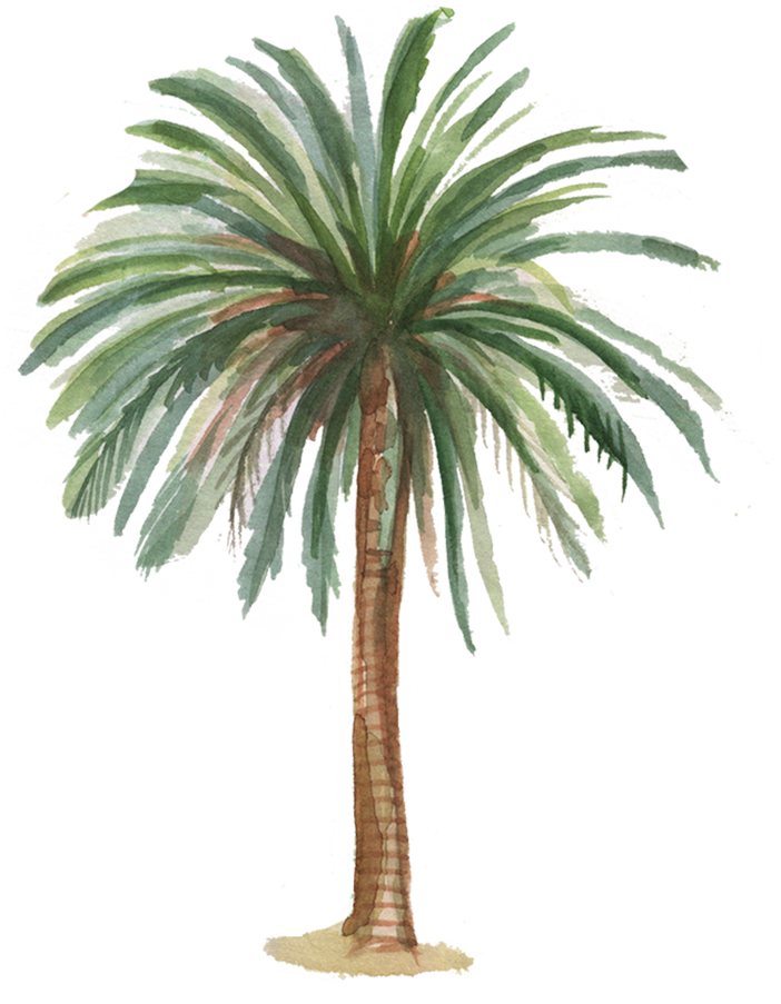  Watercolor Palm Tree