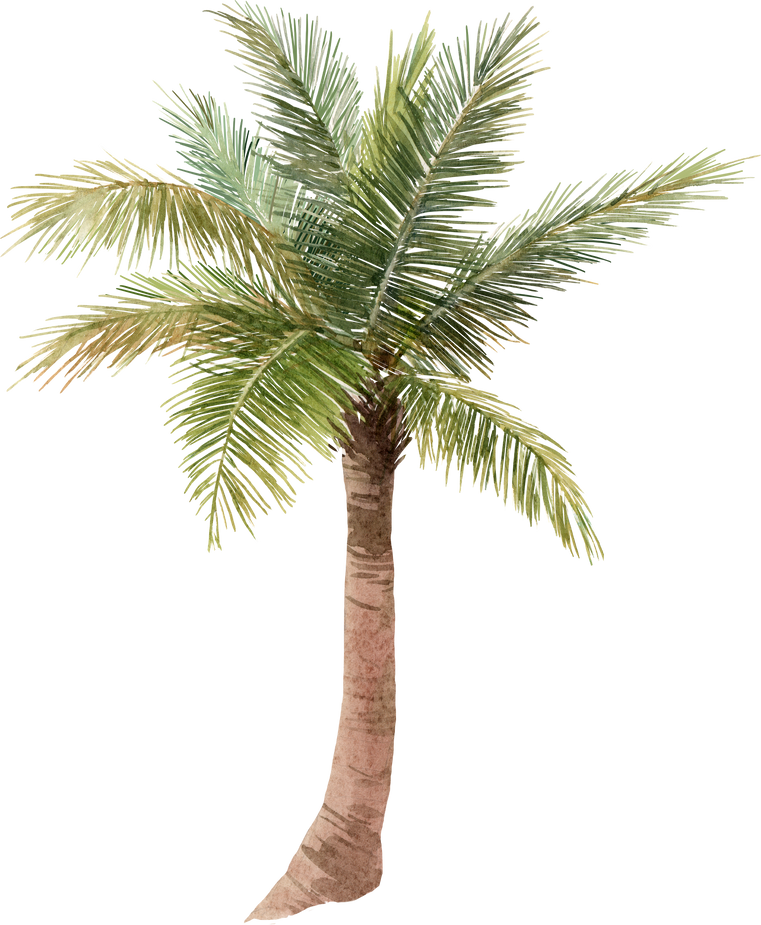 Watercolor palm